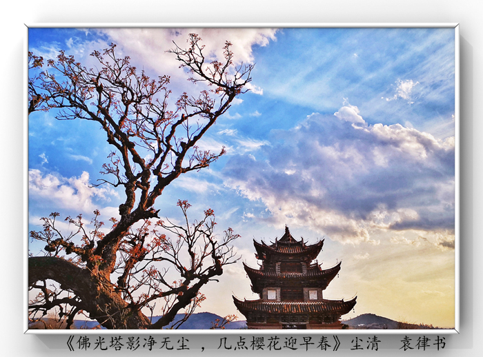 025《佛光塔影凈無塵 ，幾點櫻花迎早春》.jpg