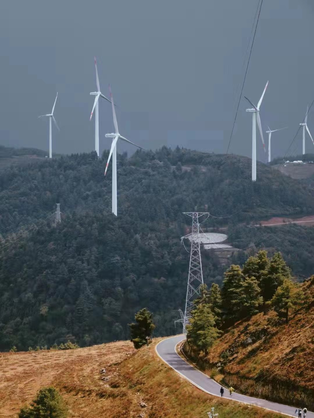 三等獎:再生能源.jpg 三等獎:再生能源.jpg