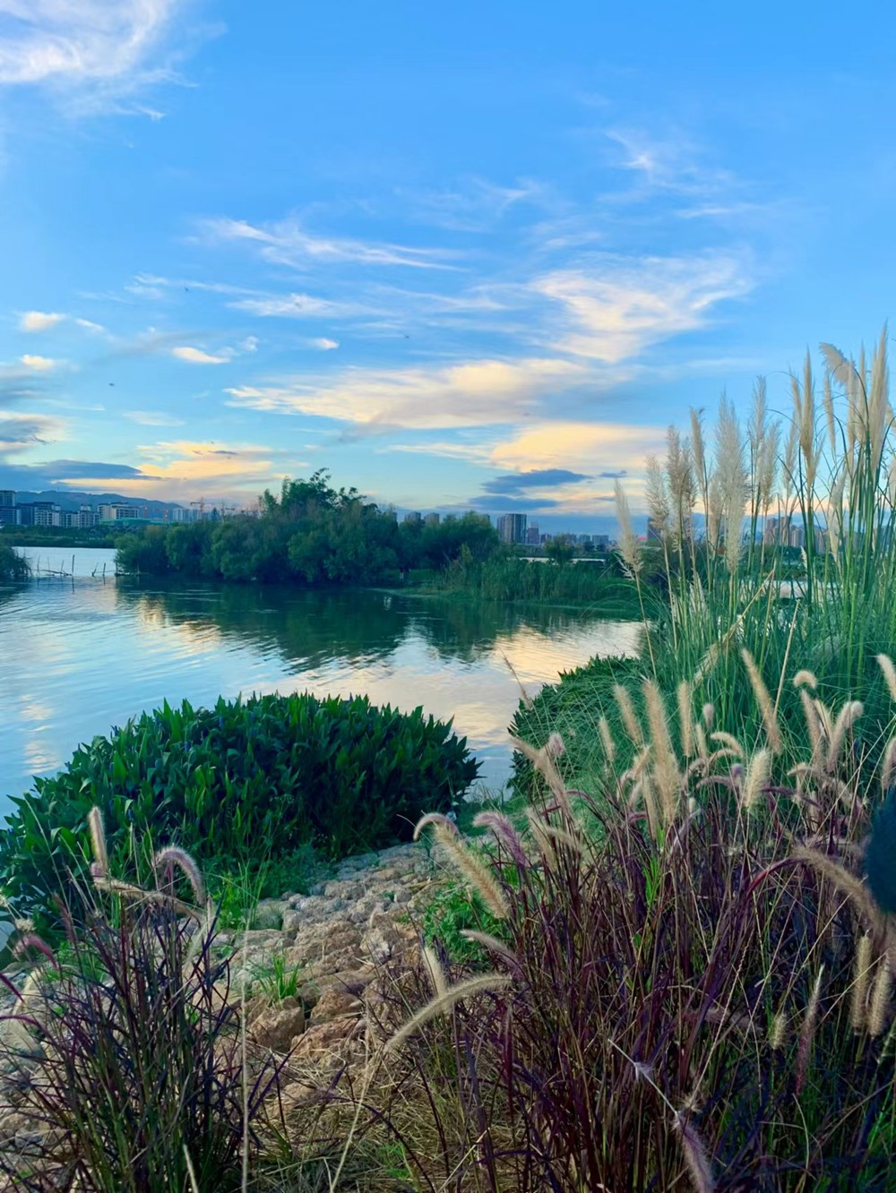 三等獎:環境保護下碧水、藍天、綠草的家_副本.jpg 三等獎:環境保護下碧水、藍天、綠草的家_副本.jpg