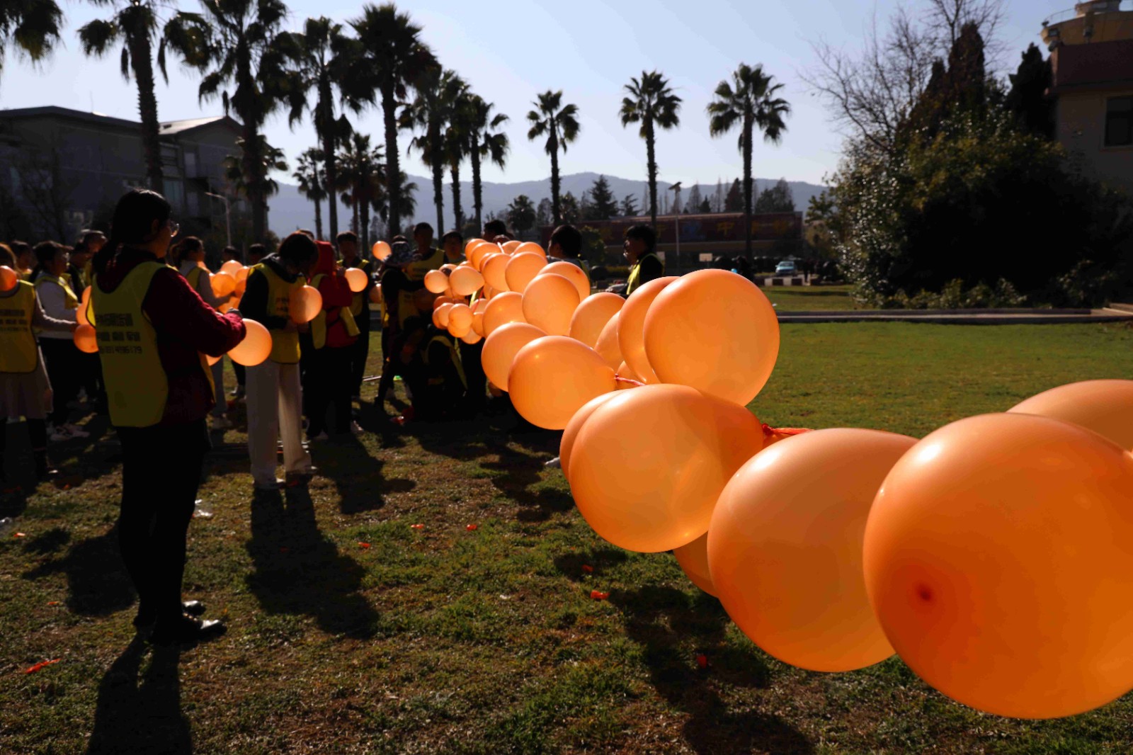 1A8A5637(1).jpg 1A8A5637(1).jpg